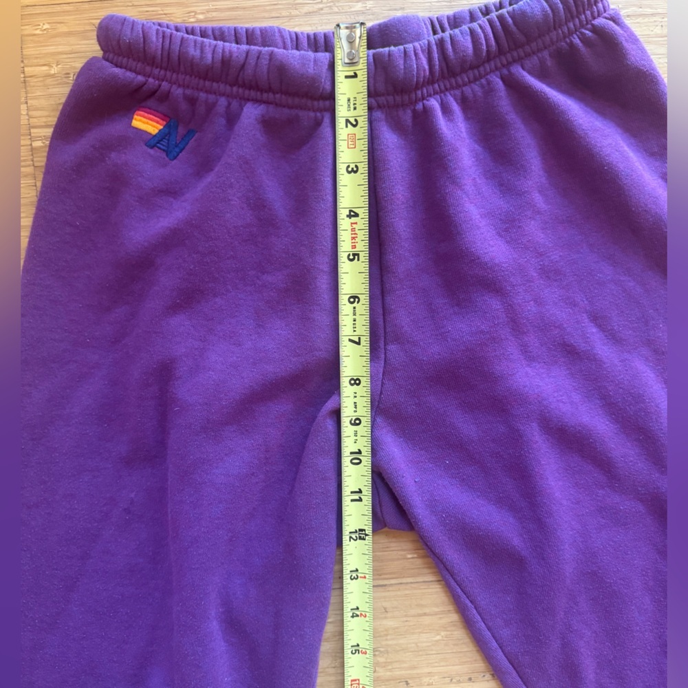 Aviator Nation Volt Sweatpants - Picture 15 of 15